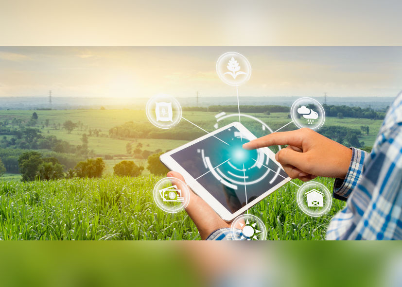 Best Software Development Company